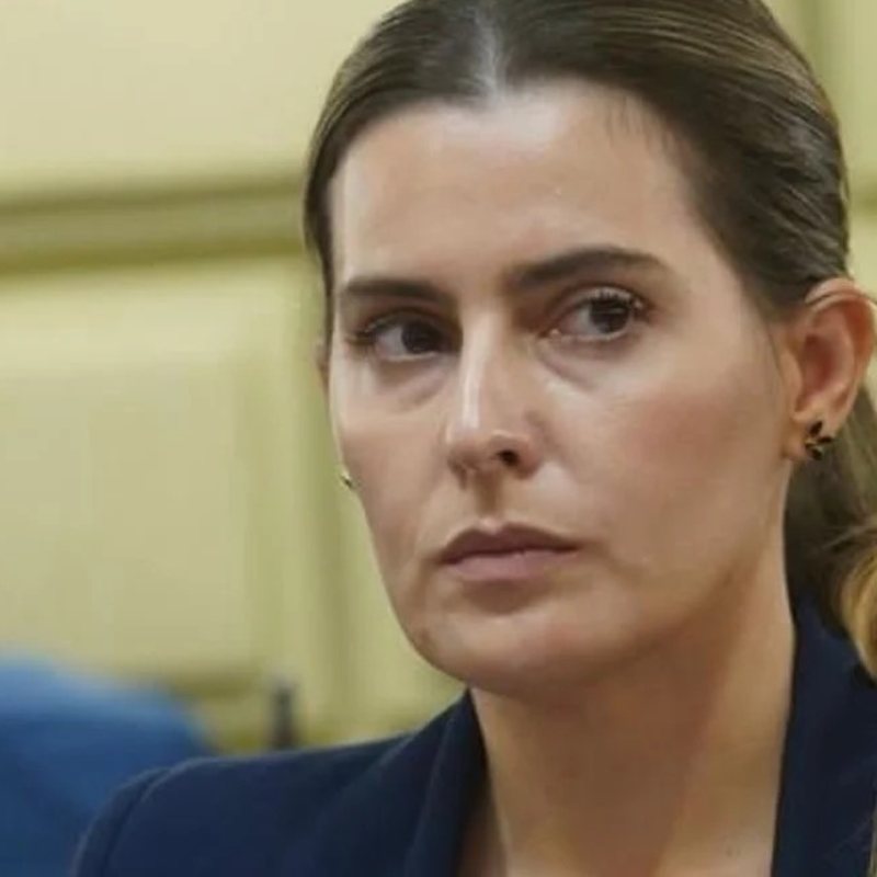 Cattalini solicit&oacute; al Consejo de la Magistratura suspender al juez federal Salmain